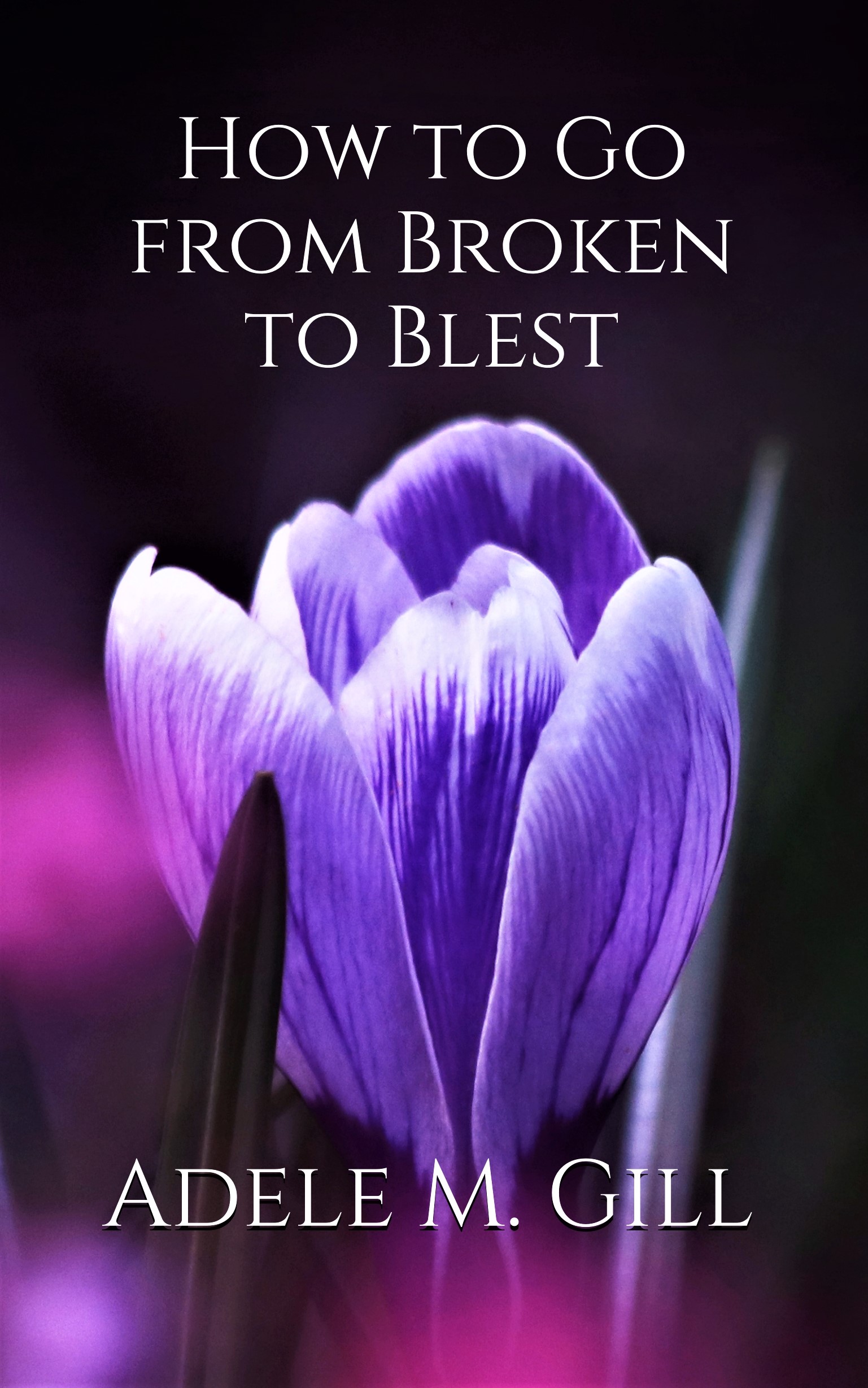 Christian Book Publishng - From Broken To Blest 
